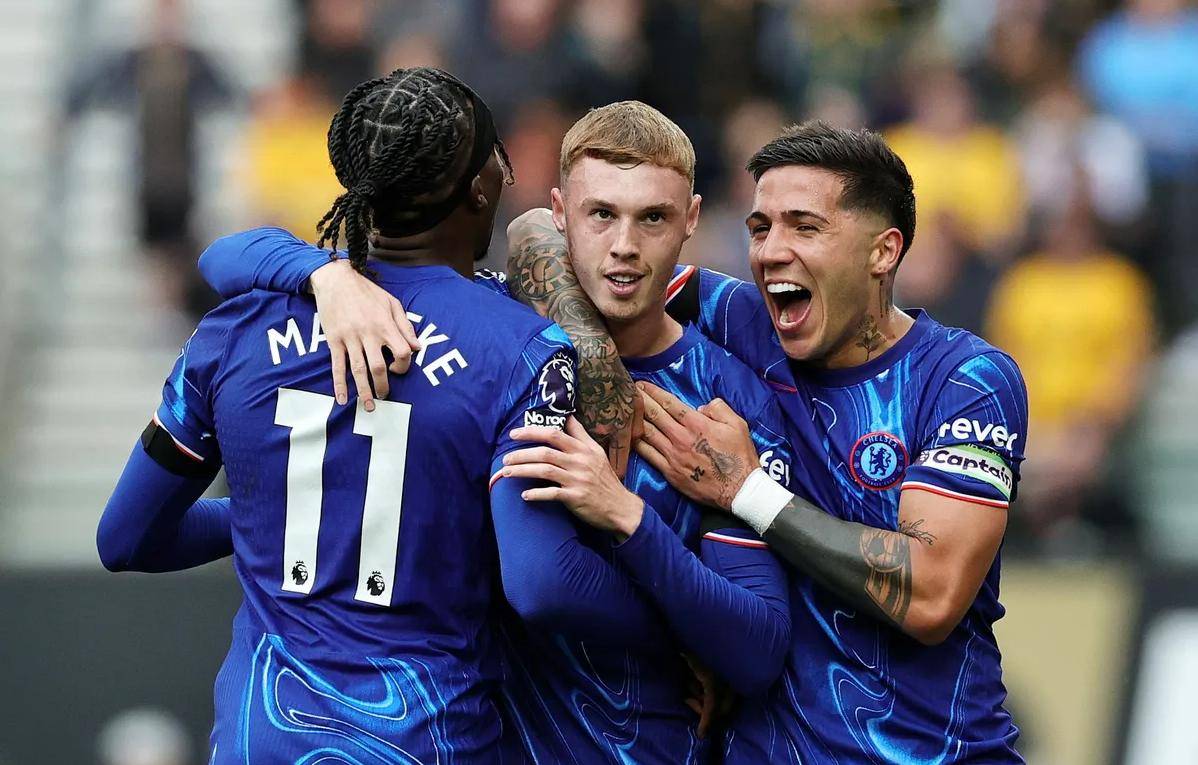 核心小萨博 核心小萨博