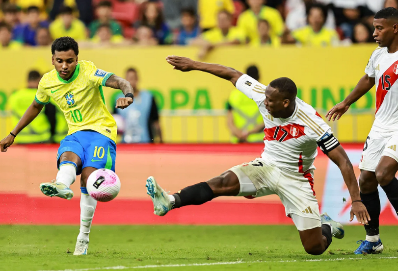 描绘了一幅 描绘了一幅