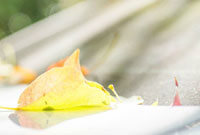 揭秘广州队 揭秘广州队