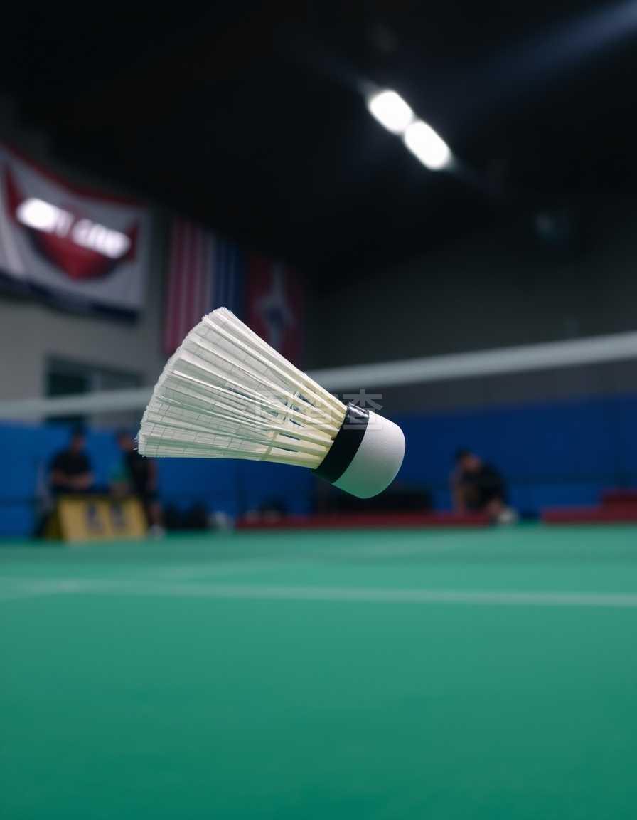 泰山队积极 泰山队积极