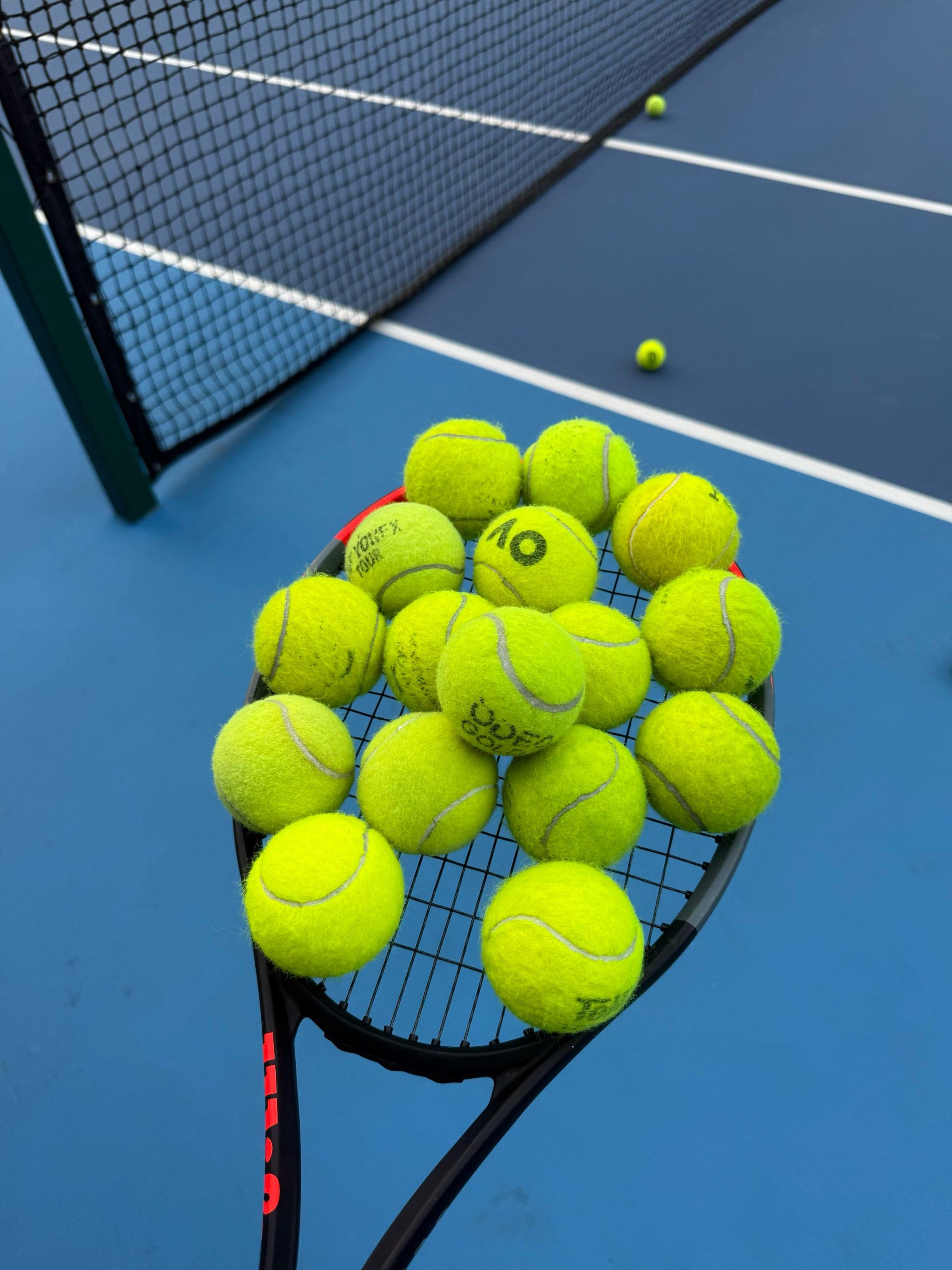 多样性与阵 多样性与阵