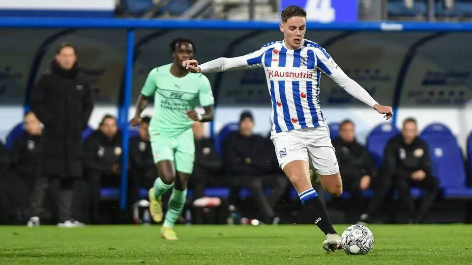 要充分发挥 要充分发挥