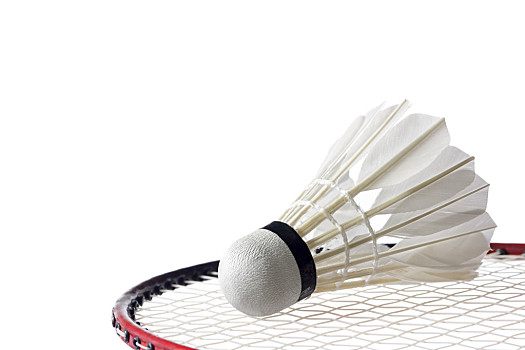 将合同延长 将合同延长