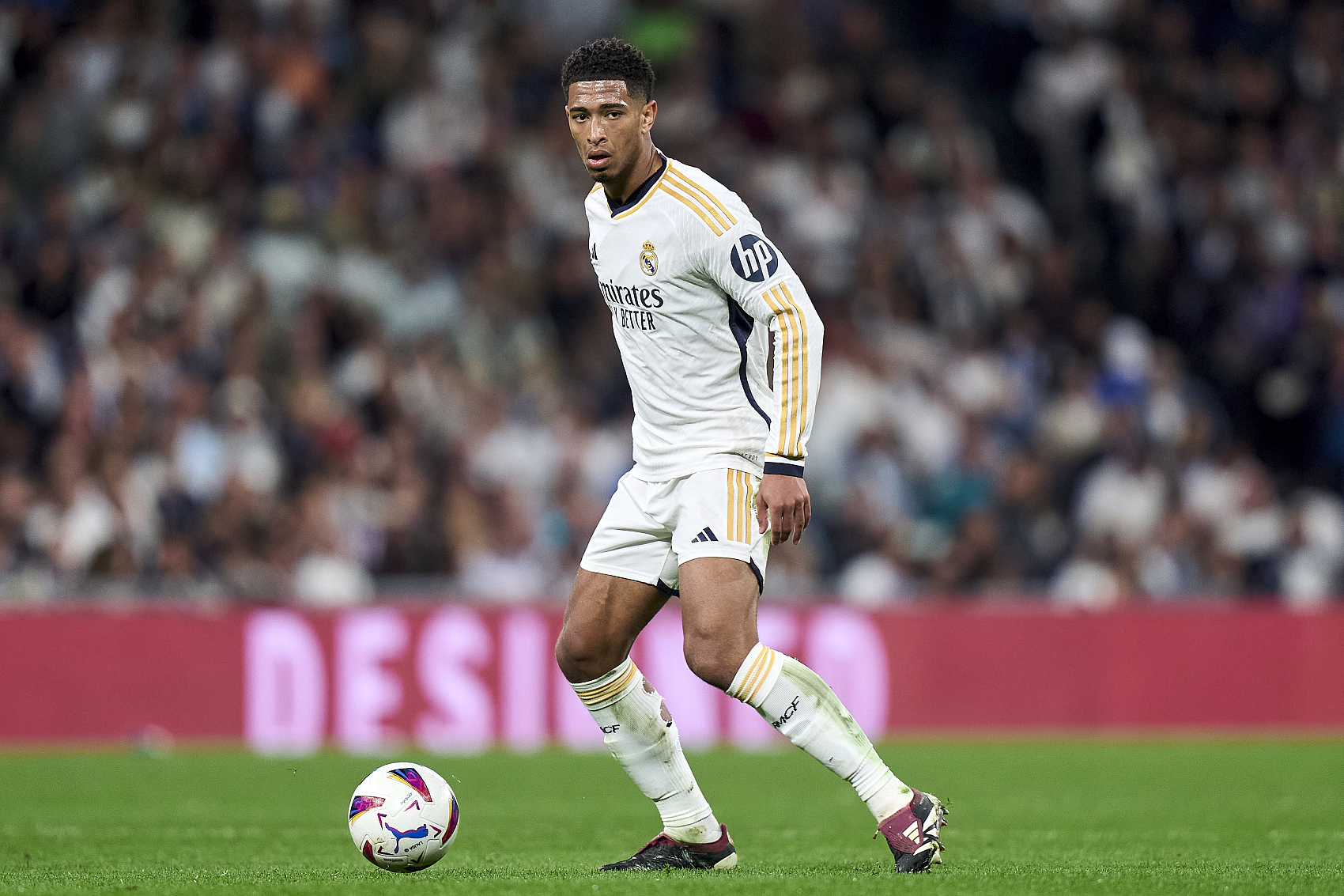 提供了更具 提供了更具